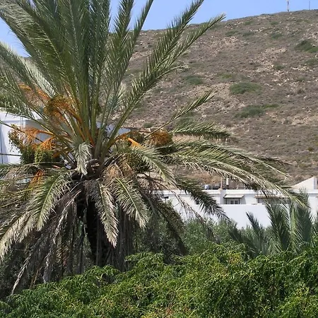 Areti's Milos
